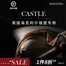 SIDANDA匈牙利全95白鹅绒枕头五星级酒店睡眠羽绒枕芯高奢银棉女王枕 高奢银棉全鹅绒枕-中软枕