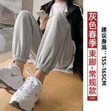羊羔绒运动裤女2024新款秋冬款加绒加厚保暖卫裤大码宽松阔腿裤子