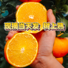 京鲜生 Mr.Seafood 沃柑年货礼盒  5斤 单果130g+