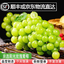 集年鲜 四川阳光玫瑰葡萄 晴王无籽水果礼盒 精选商超级果 5斤 单粒8-10g
