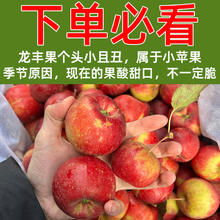 鞍山南果梨 东北龙丰果5斤装包邮特产小苹果海棠果沙果新鲜水果
