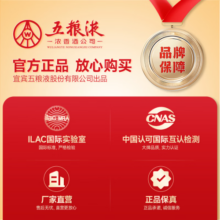 五粮春经典浓香型白酒 五粮液股份出品【酒厂直营】 45度 500mL 2瓶 非礼盒配手提袋