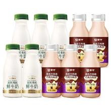 每日鲜语 高钙有机鲜牛奶250ml*5瓶+龙舌兰巧克力奶 250ml*5瓶