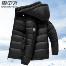 plus会员，百亿补贴：雪中飞 羽绒服 轻薄短款男士 90鸭绒 可拆卸帽 外套190