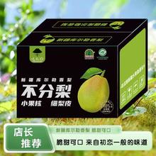 西域十二时辰 新疆库尔勒香梨24年新梨年货礼盒5斤带箱装