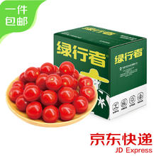 限移动端、京东百亿补贴：京鲜生 Mr.Seafood 樱桃番茄 500g*4盒