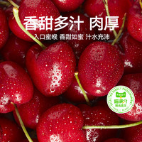 喵满分 智利进口车厘子樱桃 J级实惠装 单果26mm-28mm 2500g