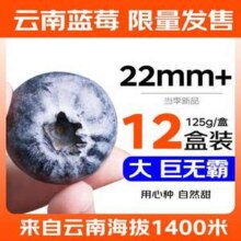 京鲜生 云南蓝莓巨无霸 （22mm+）125g*12盒装