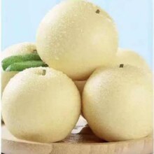 京喜自营 河北皇冠梨 单果200g 带箱2斤*2件