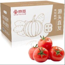 PLUS会员：京觅 山东普罗旺斯西红柿 净重5斤装 单果100g