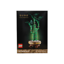 乐高 LEGO ICONS系列 10344 富贵竹 创意盆栽积木玩具