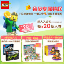 乐高（LEGO）积木拼装迪士尼43239 米拉贝相框和珠宝盒女孩儿童玩具生日礼物