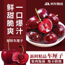 鲁禧海岸 智利进口车厘子 净重4.5斤 3J (现货次日达)