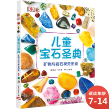 DK儿童宝石圣典 小猛犸童书(精装)