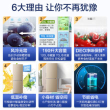 海尔(Haier)190升双门冰箱 风冷无霜 节能家用电冰箱 两门冰箱 家用小冰箱BCD-190WDPT