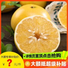 淘宝买菜农场直发 福建黄金葡萄柚礼盒装（配榨汁器） 净重5斤 单果400g+