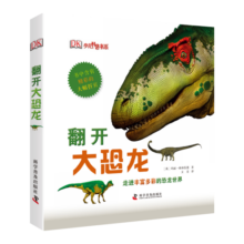 DK少儿科普书系：翻开大恐龙