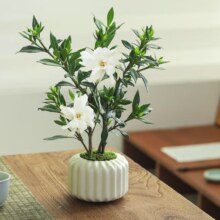 京东百亿补贴：八芽 小叶栀子花盆栽开花植物室内桌面茶几好养花卉绿植办公室净化空气 小叶栀子花-陶瓷竖纹盆