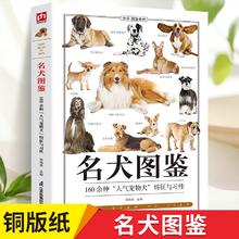 百亿补贴：《名犬图鉴》