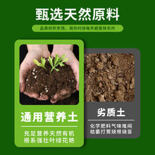 甜沃 营养土养花通用种菜土壤种植土绿植物多肉育苗家用盆栽种花土