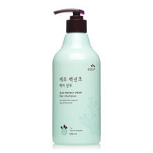 SOMANG 所望 济州岛百年草洗发水500ML（无硅油 深度滋养 保湿补水）