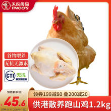 天农 供港跑山鸡土鸡 1.2kg 无抗母鸡整鸡肉生鲜 冷冻 山林散养走地鸡
