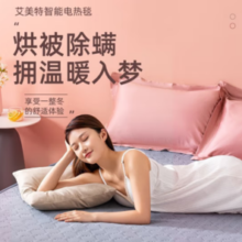 AIRMATE 艾美特 电热毯 TTLW02-05 遥控器控制 150*70
