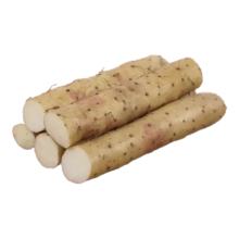 粉糯正宗铁棍山药 铁棍山药1斤带箱 10cm-15cm 买一送一到手2斤