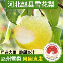 远达 YUANDA 远达 赵县古树雪花梨 4.5kg