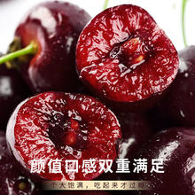 集年鲜 智利车厘子进口大樱桃+赣南脐橙新鲜水果年货礼盒 5斤 车厘子JJ+4.5斤橙子