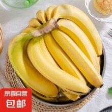 京喜自营 国产高山甜香蕉 9斤