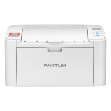 奔图（PANTUM）P2206NW 激光打印机家用商用办公 有线无线连接 手机打印 多人共享 黑白打印机