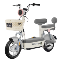 京东百亿补贴：宝岛电动自行车柠檬48V20Ah 续航70km