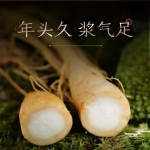 长白山人参鲜人参保鲜参富含人参皂苷煲汤泡酒材料(非药材)袋装酒浸鲜人参 【共发10支】酒浸鲜参