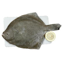 plus会员：缤鲜 国产 新鲜速冻精选 海捕多宝鱼 净重300g-400g/条 共6条-源头直发