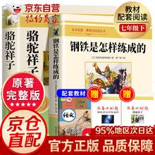 钢铁是怎样炼成的+骆驼祥子 七年级必读 初中生七年级下册必读课外书