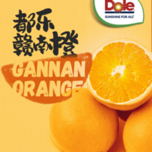 国家地理标志产品，dole 都乐 国产赣南脐橙礼盒 5斤/单果160g+