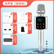 权盟 话筒音响一体自带声卡麦克风 家庭ktv 户外唱歌主播直播录歌卡拉ok 版（有U段）