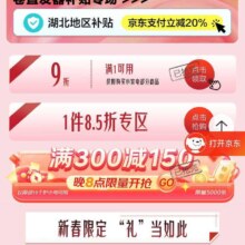 促销活动：京东年货节 挑好物逛京东 领满300减150元 /9折/85折小家电品类券