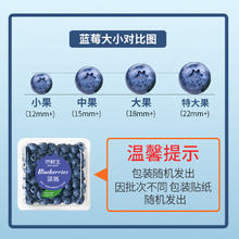 限移动端、京东百亿补贴：京鲜生 Mr.Seafood 国产蓝莓 4盒装 果径18mm+ 新鲜水果 源头直发包邮
