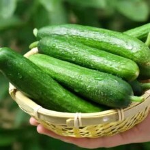 水果黄瓜 200g