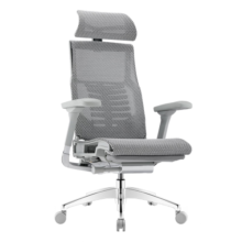 Ergonor保友Pofit 2代 智能人体工学椅 游戏电竞椅 撑腰电脑椅办公椅子 银白美国网 整椅发货 送货上门