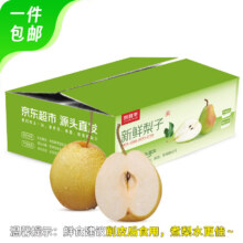 plus会员:京鲜生 河北雪花梨 净重4.5斤 单果250g+ 生鲜水果梨子  包邮