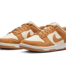 NIKE 耐克 DUNK 女款运动鞋 HJ7673-100