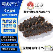 颐参严选 大连即食海参1斤 13-18头辽参营养滋补 开袋可吃源头直发包邮