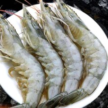 plus会员:东上御品 国产青岛大虾 特大号白虾 2030规格 净重3斤 盒装活冻