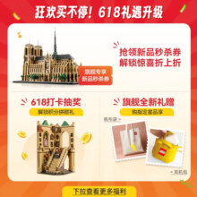 乐高（LEGO）积木 迪士尼 43249史迪奇  拼装玩具 男孩女孩年货礼物
