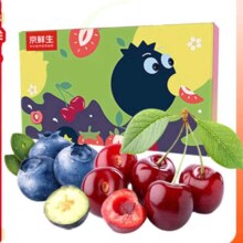 京东百亿补贴、plus会员:京鲜生 云南蓝莓4盒（果经15mm+）+J级智利车厘子5斤 年货礼盒源头直发