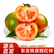 京觅 东北铁皮西红柿 5斤装中果 草莓柿子新鲜绿腚番茄蔬菜源头直发