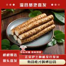 薏品甄鲜河南焦作温县正宗垆土地铁棍山药5斤装秋冬滋补食材源头直发 包邮 精品山药3斤 50cm礼盒装